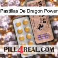 Dragon Power Pills 41